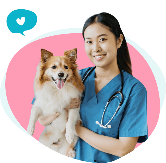 Dr. Araya
